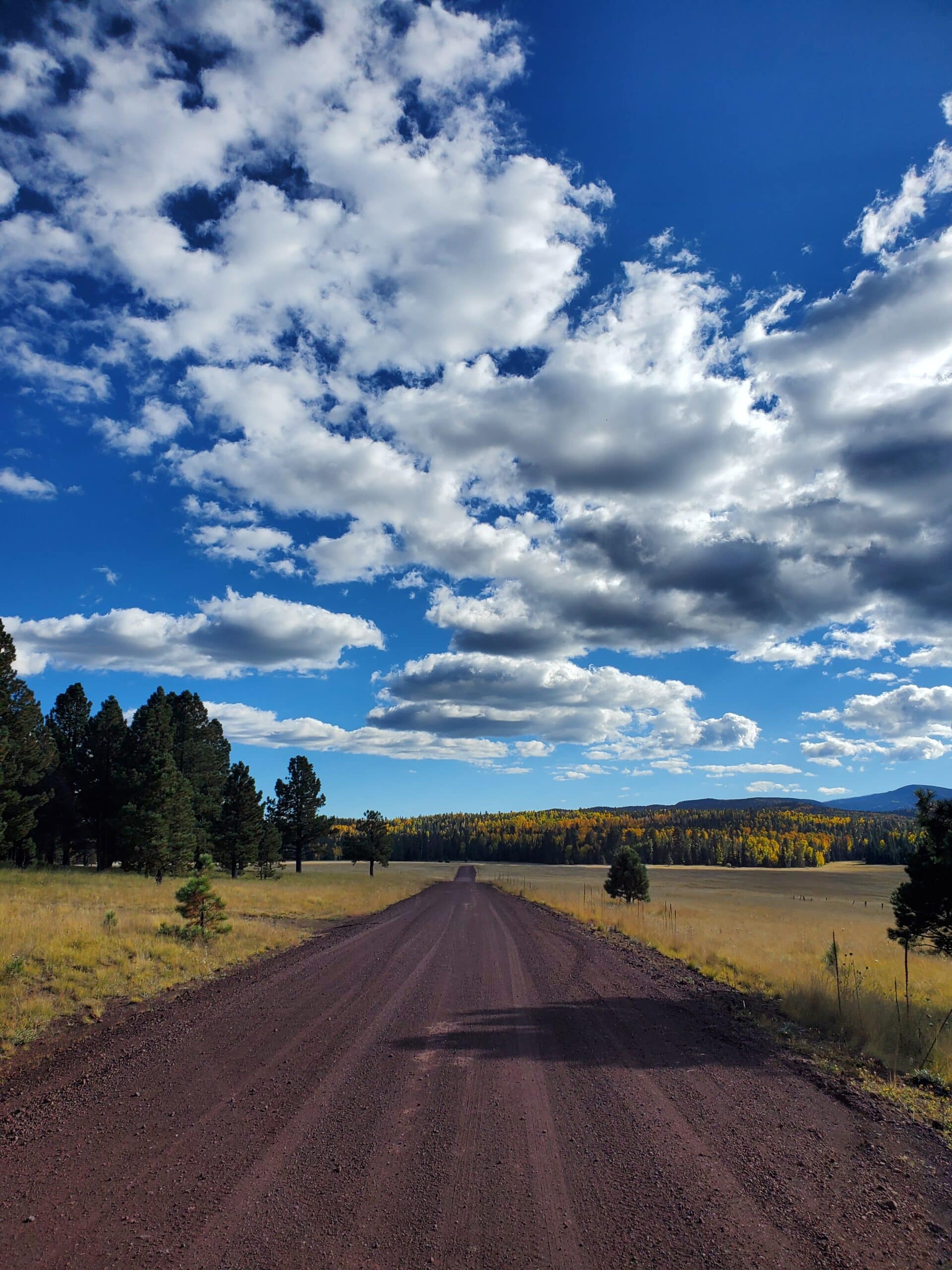 Forest Road 112 offers stunning, open meadow views with Mount Baldy and Sunrise Park Resort as backdrops.