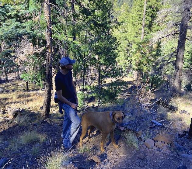 Isg hiking amberian loop