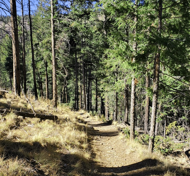 Isg hiking amberian loop