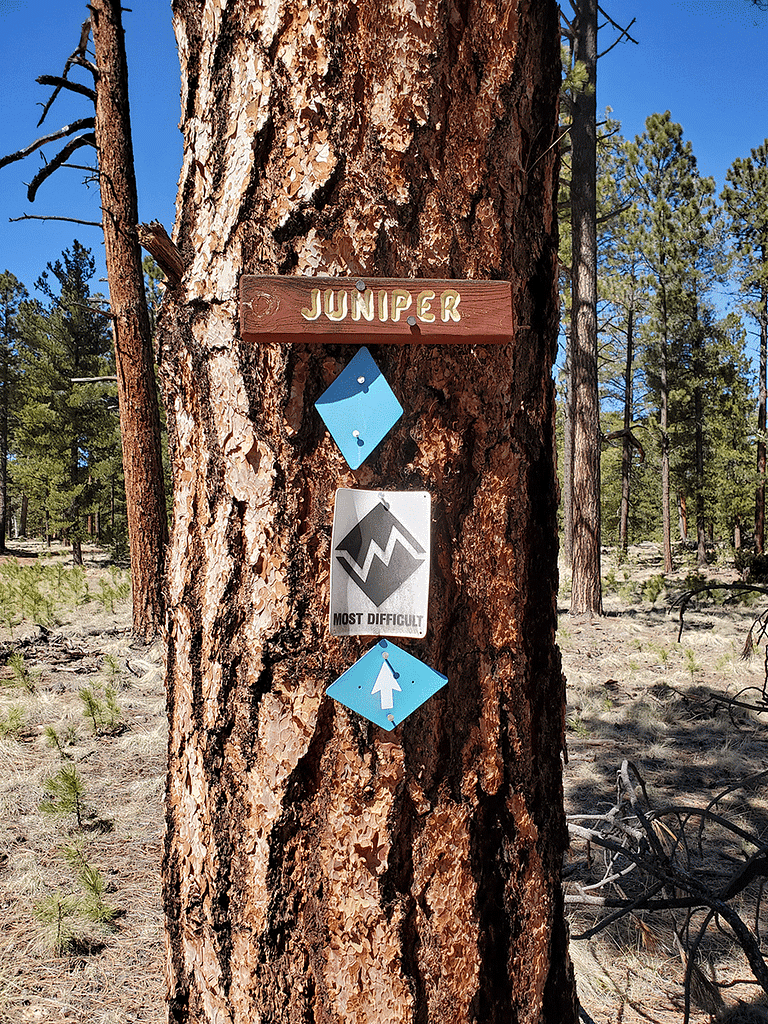 Isg hiking squirrel spring