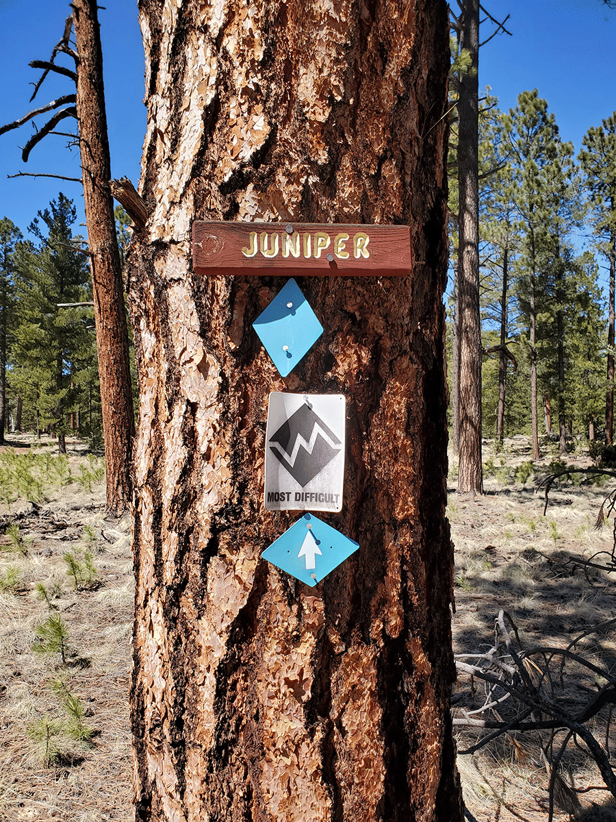 Hiker on the Squirrel Spring Trail near Greer, Arizona