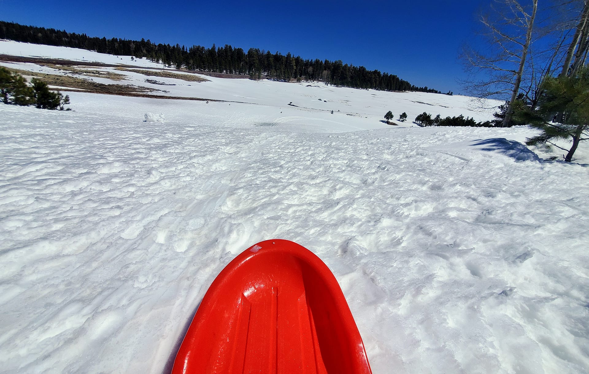 One of Northern Arizona's premier sledding hills is also the closest to Greer. The hill at the Apache Railroad Multi-Use Trailhead offers mountains of fun for the whole family.